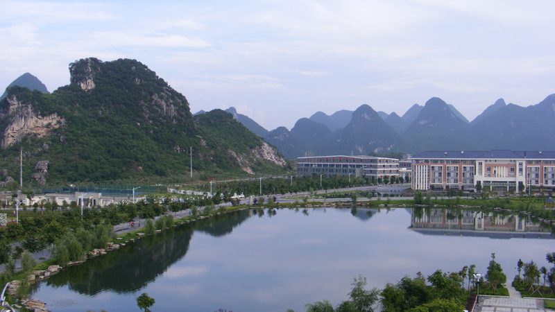 继电器故障诊断：如何选择合适的在线诊断工具**