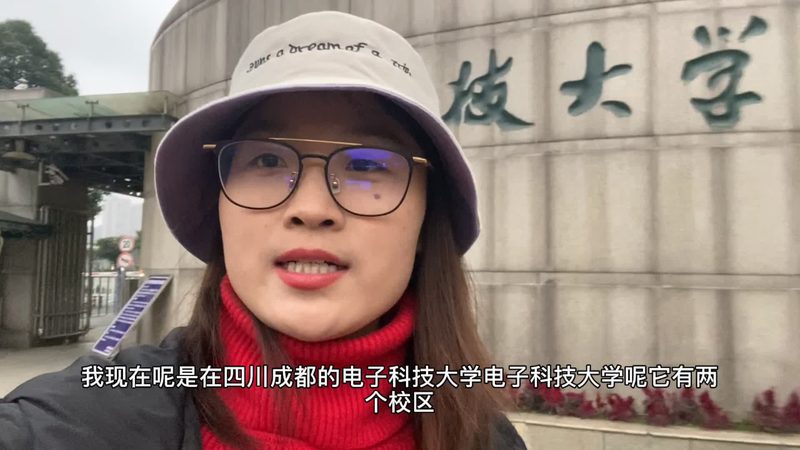 电子模块代理加盟：揭秘成功之路**